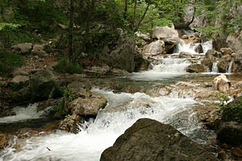 Il corso del fiume