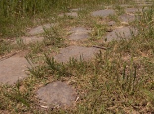 Le piste lungo la Via Latina e il fiume sacco