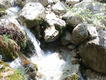 Alto corso Fiume Cosa - Guarcino (FR)