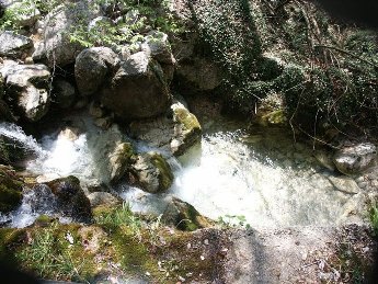 Alto corso Fiume Cosa - Guarcino (FR)