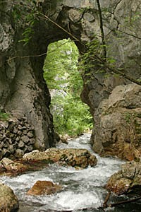 Il corso del Fiume Cosa Trisulti - Collepardo - Frosinone